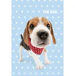 Detexpol Ručník 50 x 30 cm