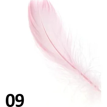 Peříčka na nehty č.09 - 5 ks