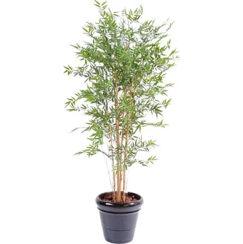 umělá květina Luxusní umělý BAMBUS JAPANESE PLAST UV, 180cm
