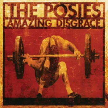 Zahraniční hudba Amazing Disgrace - The Posies [2CD]