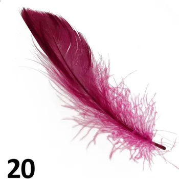 Peříčka na nehty č.20 - 5 ks