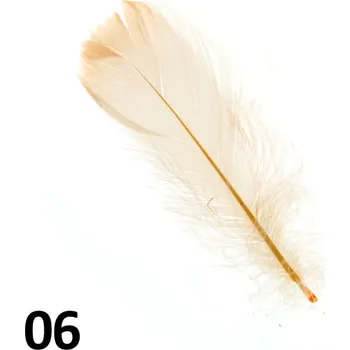 Peříčka na nehty č.06 - 5 ks