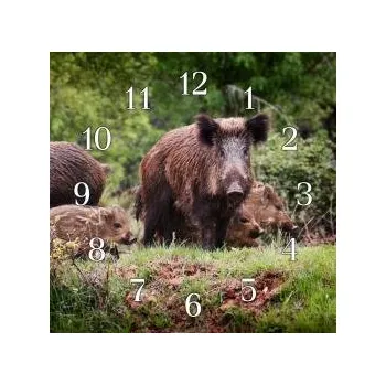 Hodiny e‑myslivost.cz Myslivecké hodiny - Bachyně se selaty