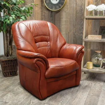 Křeslo Askont Bologna Kůže Černé