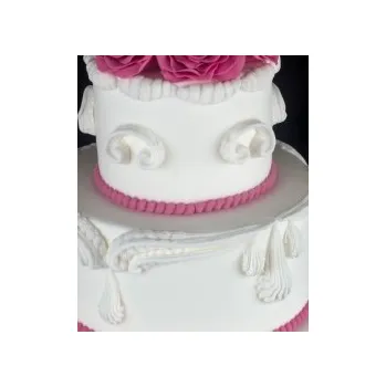 Forma na pečení Silikonová forma CCS004