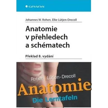 Anatomie v přehledech a schématech: Překlad 8. vydání Kniha