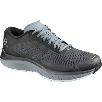 Pánská běžecká obuv Salomon Sonic Ra Max 2 L40789800