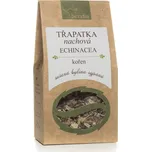 Serafin Echinacea Třapatka nachová…