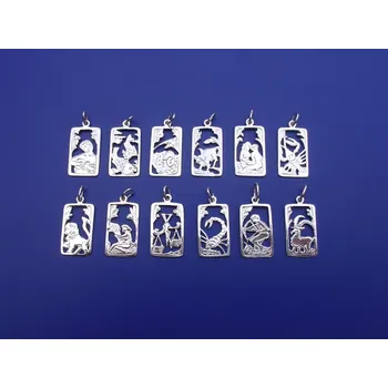 Přívěsek Znamení obdélník velký Z090, Materiál: Bílé zlato, ryzost 585/1000