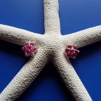 Náušnice Astra – náušnice s rubíny, Materiál: Bílé zlato, ryzost 585/1000