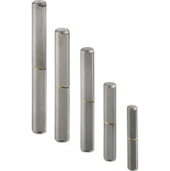 pant Závěs s pevným čepem 16 x 100 mm, ocel lesklá | Dveře a dveřní příslušenství Dveřní panty, Dveřní závěsy Závěsy pro ocelové profily