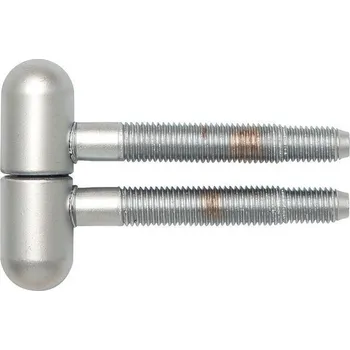 pant Závěs k zavrtání, 16 mm, s kulatou hlavou, ocel pochromovaná matná | Dveře a dveřní příslušenství Dveřní panty, Dveřní závěsy Panty na dveře SFS