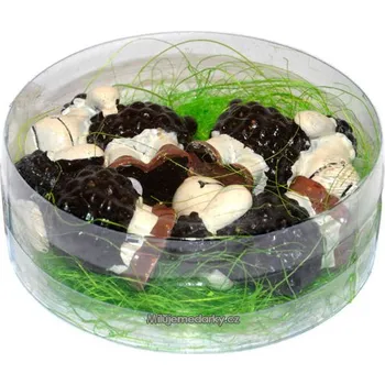 Sada 4 černých keramických oveček v boxu