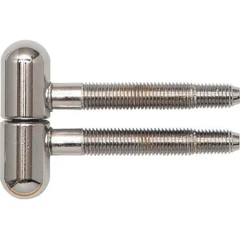 pant Zavrtávací závěs, 16 mm, se zakulacenou hlavou, ocel pochromovaná | Dveře a&nbsp;dveřní příslušenství Dveřní panty, Dveřní závěsy Panty na dveře SFS