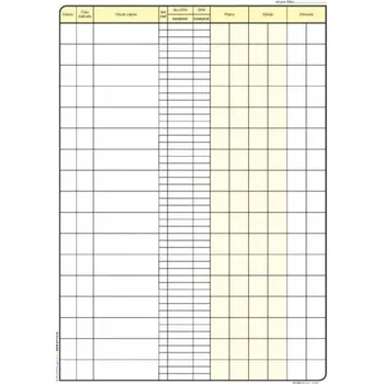 Tiskopis Pokladní kniha s DPH, Optys