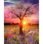 Gaira Žena ve stromě M1010