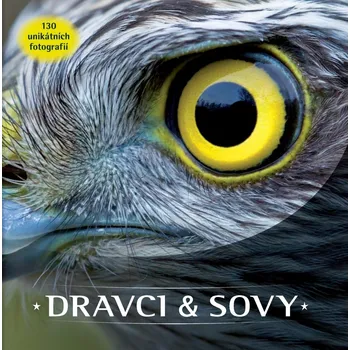 Bystrá hlava Dravci a sovy - Rebo (2019, pevná)