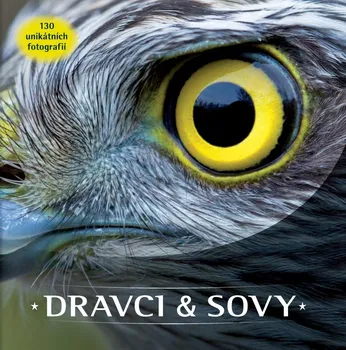Bystrá hlava Dravci a sovy - Rebo (2019, pevná)