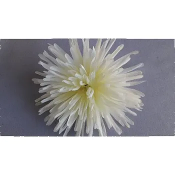 umělá květina Chryzantéma vazbová jehlicová FS016/ CREAM