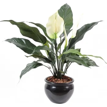 umělá květina Umělá květina Spathiphyllum - Lopatkovec deluxe, 53cm