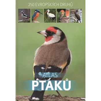 Zahradni Ptactvo Atlas () Zahradni Ptactvo Atlas