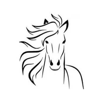 ARTEMISS Hlava koně - plastová šablona 003 Rozměr: B 14,5x14,5cm