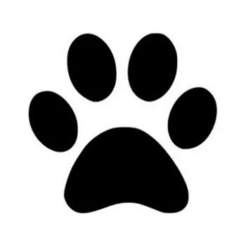 ARTEMISS Tlapka - plastová šablona 002 Rozměr: D 29x29cm