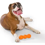 West Paw Zogoflex Rumpus Barva: Modrá,, Velikost: M,