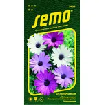SEMO Osteospermum Balade Mix 0,30 g