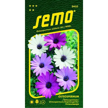 Semeno SEMO Osteospermum Balade Mix 0,30 g