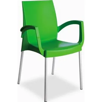 Jídelní židle židle Boulevard s područkami