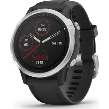 Chytré hodinky Garmin Fenix 6S Glass Silver/Black Band