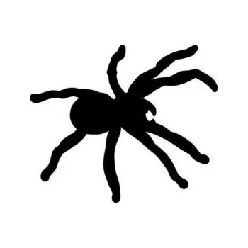 ARTEMISS Pavouk - plastová šablona 085 Rozměr: D 29x29cm