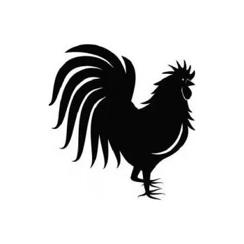 ARTEMISS Kohout - plastová šablona 066 Rozměr: B 14,5x14,5cm