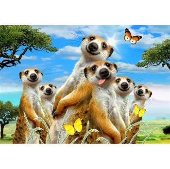 Fototapeta Vliesové fototapety selfie surikaty 12868 V8