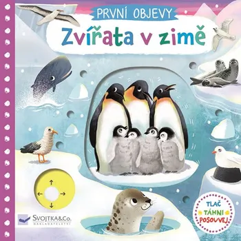První objevy: Zvířata v zimě - Jenny Wren (2018)