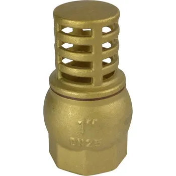 Klum PR2211 sací mosazný koš 2"