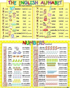 Anglický jazyk Anglická abeceda, Anglické číslovky 1-20 - Studio 1+1 (2017, flexo)
