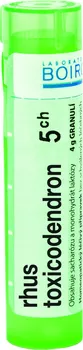 Homeopatikum Boiron Rhus Toxicodendron 5CH 4 g