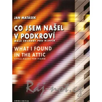 Co jsem našel v podkroví - Jan Matásek