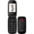 Mobilní telefon Evolveo EasyPhone FD