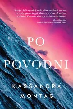 Po povodni - Kassandra Montag (2019, pevná)