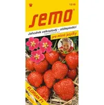 SEMO Jahodník velkoplodý Florian F1 12…