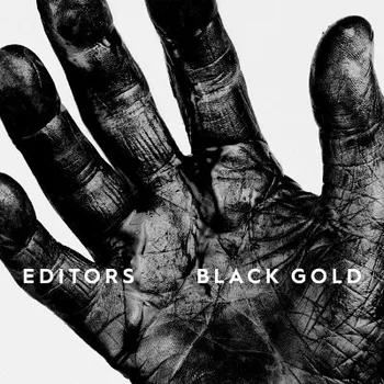 Zahraniční hudba Editors - Black Gold: Best Of Editors (8LP, PIASR1125BOX)