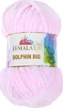 Himalaya Dolphin Big