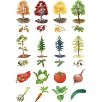 Vystřihovací příloha k učebnici prvouky 1