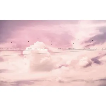 Fototapeta Fototapeta vliesová P017-VD4 Pure Cloud Wire 4-dílná 400x250 cm