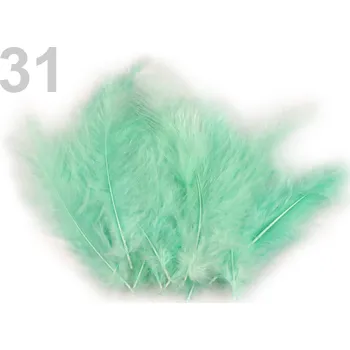 Pštrosí peří 9-16 cm, balení 20ks - různé barvy Pštrosí peří balení 20 ks: 31 - Mentolová