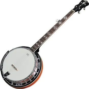 VGS Banjo Premium