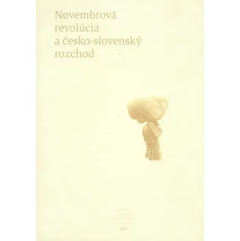 Novembrová revolúcia a česko-slovenský rozchod